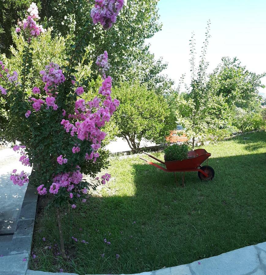 Studios Thea Fresh Rooms Thassos المظهر الخارجي الصورة
