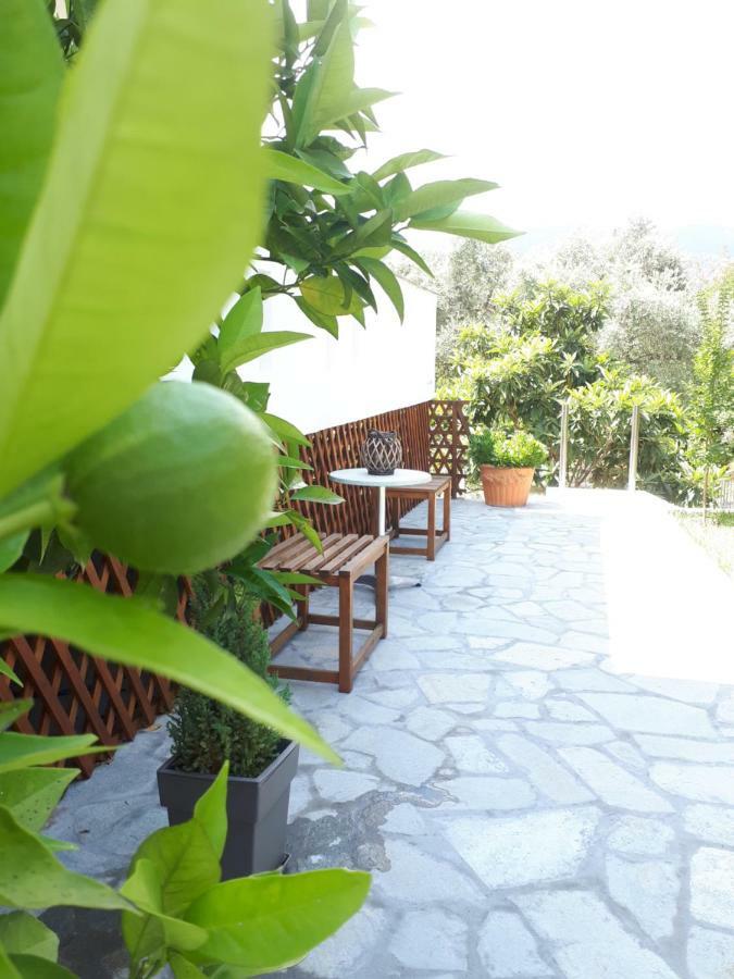 Studios Thea Fresh Rooms Thassos المظهر الخارجي الصورة